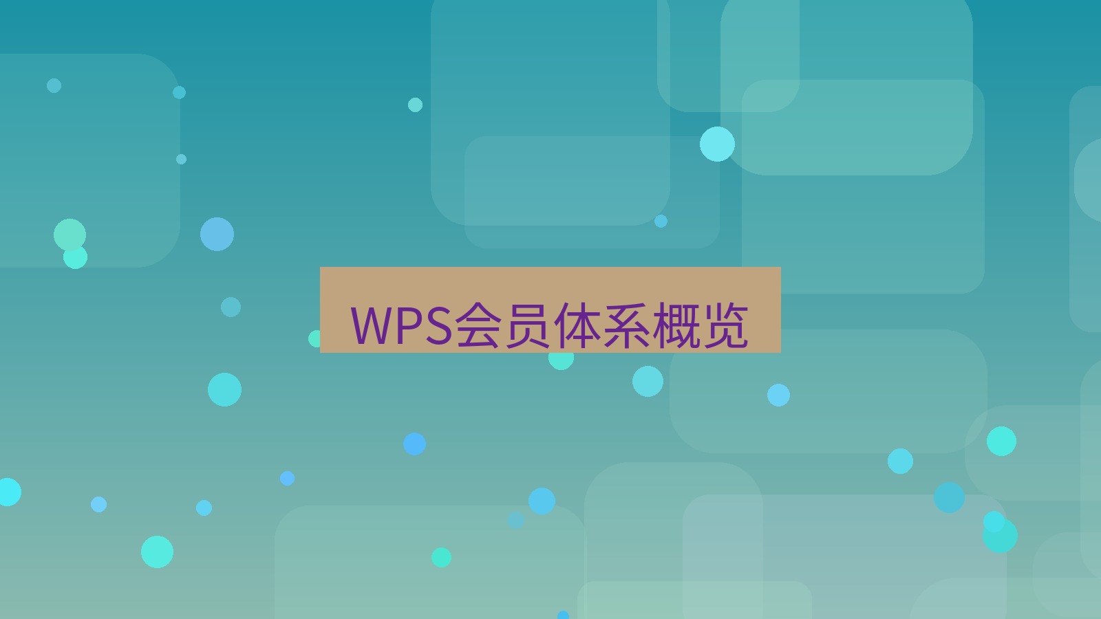 wps客户端 WPS会员体系概览