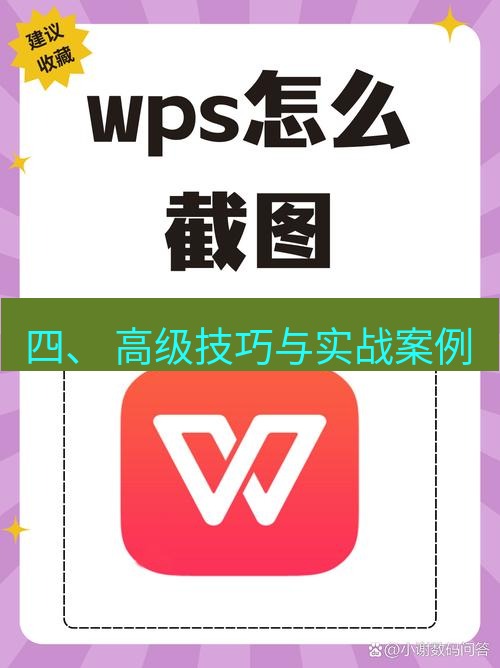wps下载 四、 高级技巧与实战案例