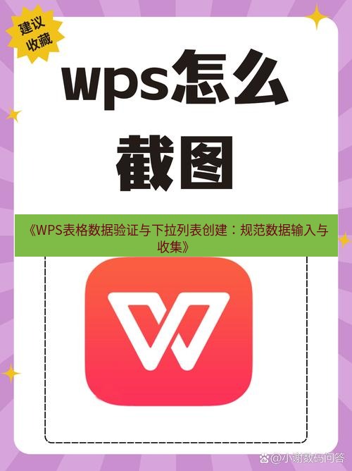 wps下载 《WPS表格数据验证与下拉列表创建：规范数据输入与收集》