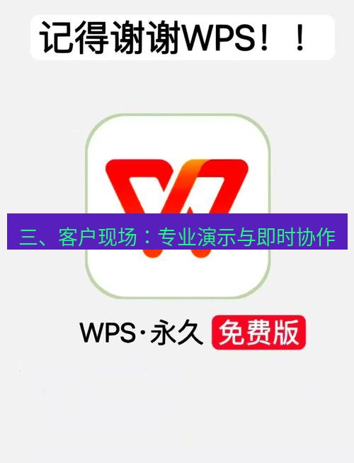 wps下载 三、客户现场：专业演示与即时协作