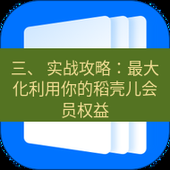 wps下载 三、 实战攻略：最大化利用你的稻壳儿会员权益