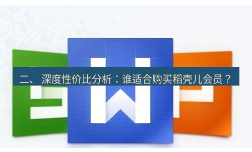 wps下载 二、 深度性价比分析：谁适合购买稻壳儿会员？