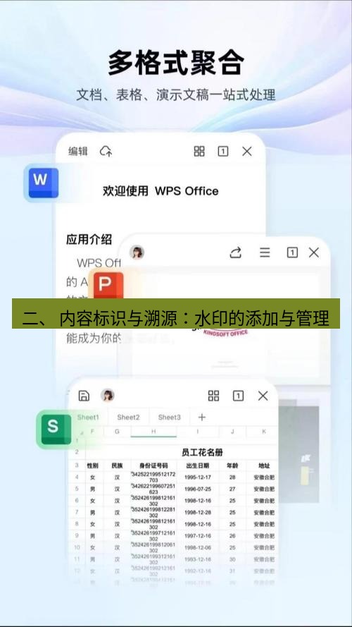 wps下载 二、 内容标识与溯源：水印的添加与管理